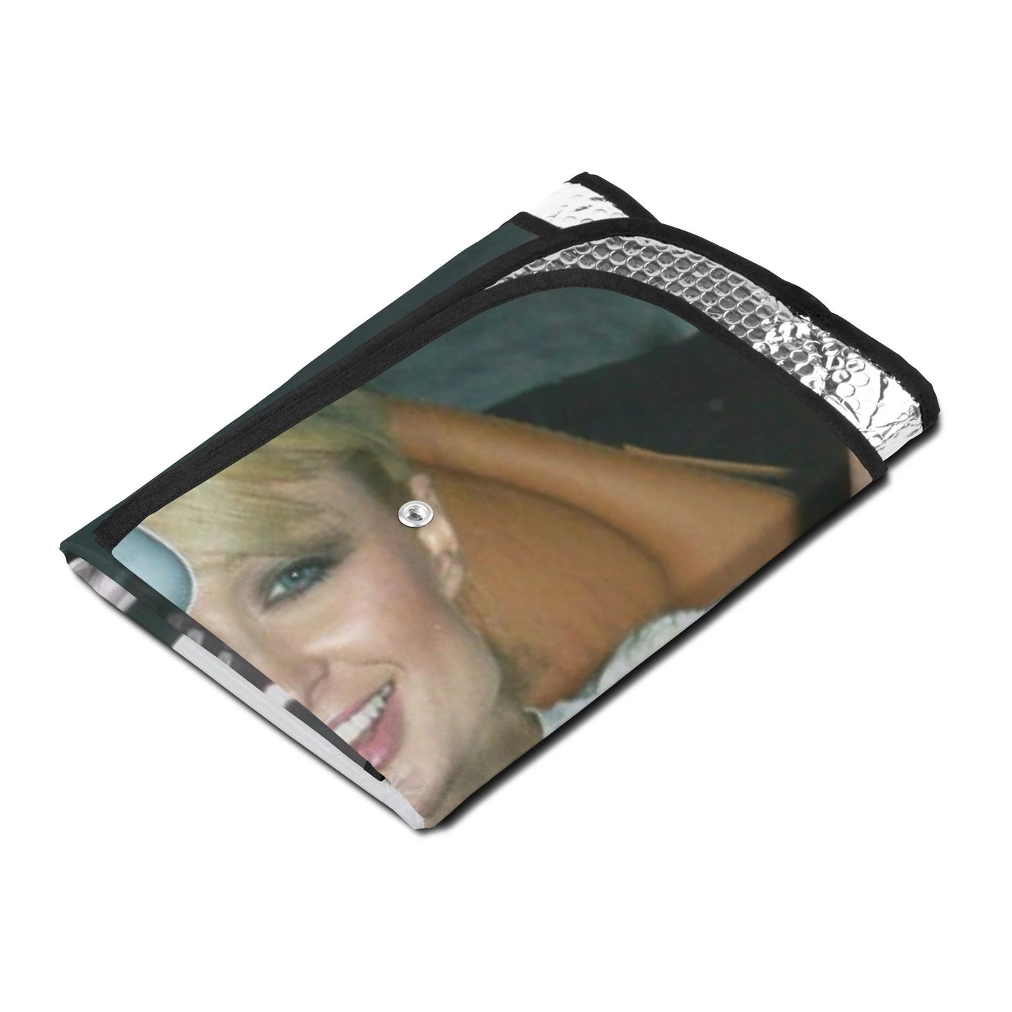 ICONIC BFFs Paris Lindsay Britney 2007 Car Sun Shade